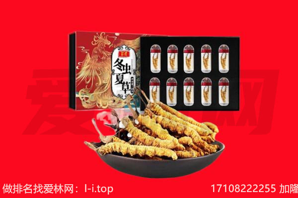 龙圩区回收虫草.jpg